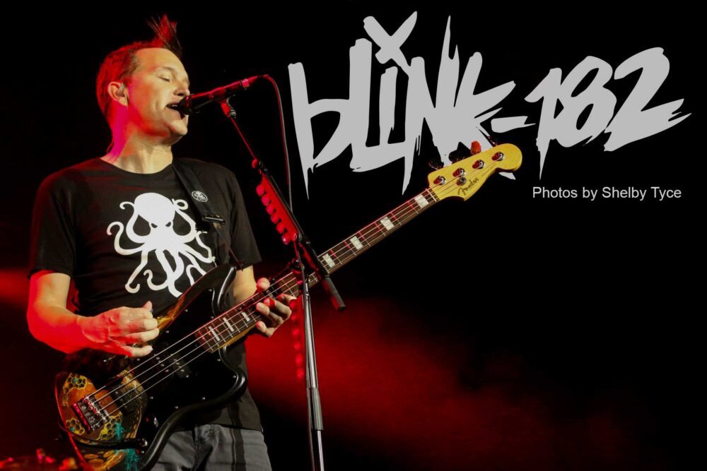 Blink 182 - By Shelby Tyce